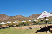 Cape Town Big 5 Safari on Horseback Riding at Aquila Game Reserve