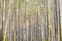 Kyoto Customizable Tour with Guide and Luxury Vehicle