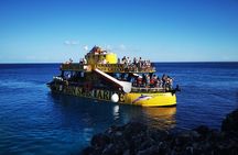 Glass Bottom Boat Dolphin Cruise to Blue Lagoon and Turtle Cove