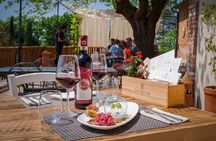 Tasting of "PREMIUM" Wines and Typical Tuscan Products