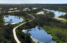 Jurmala and Kemeri National Park Tour with pick-up