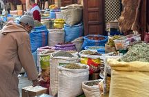 The vibrant of Marrakech 