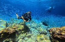 Chania Scuba Diving | Refresher Dives | Certified Divers