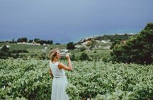 Dubrovnik's Organic Wine Experience with snack