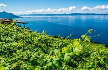 Dubrovnik's Organic Wine Experience with snack