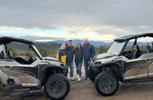 Woodland Park: 2 Hour Guided Wildlife Sunset UTV Tour - You Drive