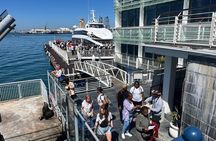 Robben Island Tour with Museum and Ferry Tickets