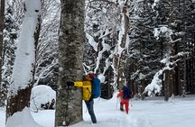 EN/CN Guided Snowshoeing and Snow Monkey Tour in Nagano