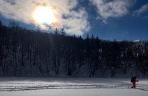 EN/CN Guided Snowshoeing and Snow Monkey Tour in Nagano