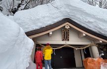 EN/CN Guided Snowshoeing and Snow Monkey Tour in Nagano