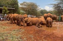 Nairobi National Park And Giraffe Centre