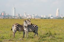 Nairobi National Park And Giraffe Centre