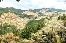 Private Full-Day Guided Tour in Yoshino, Japanese Mountain