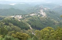Private Full-Day Guided Tour in Yoshino, Japanese Mountain