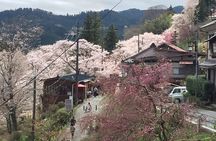 Private Full-Day Guided Tour in Yoshino, Japanese Mountain