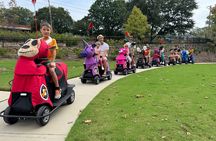 Bridge to Fun a Chattanooga Rydable Experience 