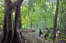 Guided Tour to Calakmul and Jungle Trail | From Bacalar.