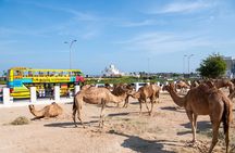 Hop On Hop Off Sightseeing Tour in Doha