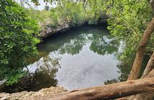 Full Day: Mnemba Island, Seafood, Natural Aquarium & Sunset Beach