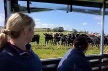 Bairnkine Farm Tour with the Farmer