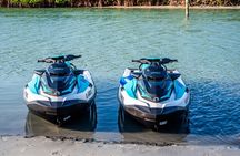 Dolphin Watching Jet Ski Tour
