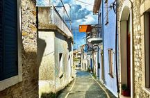 Private:Lefkara Village, Olive Farm incl. tasting and Donkey Farm