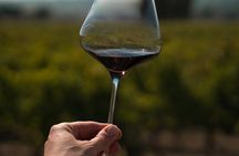 Umbria Mia: Tasting with the Winemaker and Tour of the Cellar.