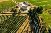 Umbria Mia: Tasting with the Winemaker and Tour of the Cellar.