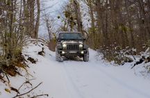 4x4 Adventure - Lakes Off Road with Roast