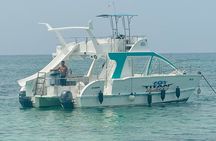 Catamaran Private Tour with Bar & Transportation Included