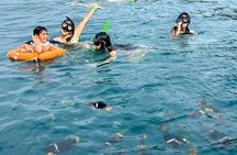 Whales Sea Lions and Snorkeling Experience from Puerto López