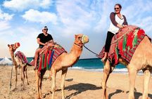 Doha Desert Safari Camel Ride, Sandboarding and Inland Sea