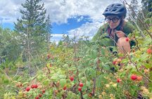 Colorado Rockies 1 Day E-Bike Tour