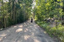 Colorado Rockies 1 Day E-Bike Tour