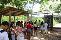 Barton Creek Cave & Butterfly Farm