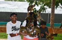 Monkey Encounter and Zip Line Tour from Amber Cove and Taino Bay