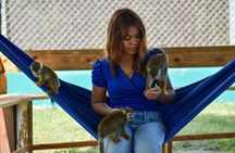 Squirrel Monkey Encounter and Lunch from Puerto Plata