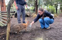 Blue Mountains Private Tour -Main Attractions- pick up & drop off