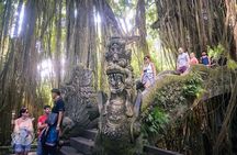 Ubud Tour: Monkey Forest, Rice Terrace, Waterfall, Water Temple 