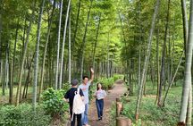 Beppu Private Tour - Onsen Experience in nature