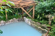 Beppu Private Tour - Onsen Experience in nature