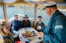 Private Saimaa Story Cruise by Ecoboat in Puumala