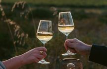 Castelsardo Vineyard and Wine Tasting Experience with Sunset
