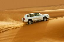 Doha: Desert Safari, Sand Boarding, Camel Ride & Inland Sea
