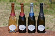 Visit winery and vineyards, tasting 4 wines with 3 matching dishes