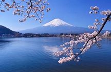 Mt Fuji & Hakone Private Tour from Tokyo & Yokohama 