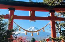 Mt Fuji & Hakone Private Tour from Tokyo & Yokohama 