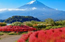 Mt Fuji & Hakone Private Tour from Tokyo & Yokohama 