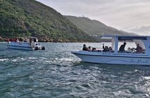 Knysna Lagoon Boat Cruises
