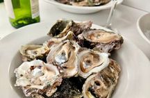 Knysna Oyster Tour
